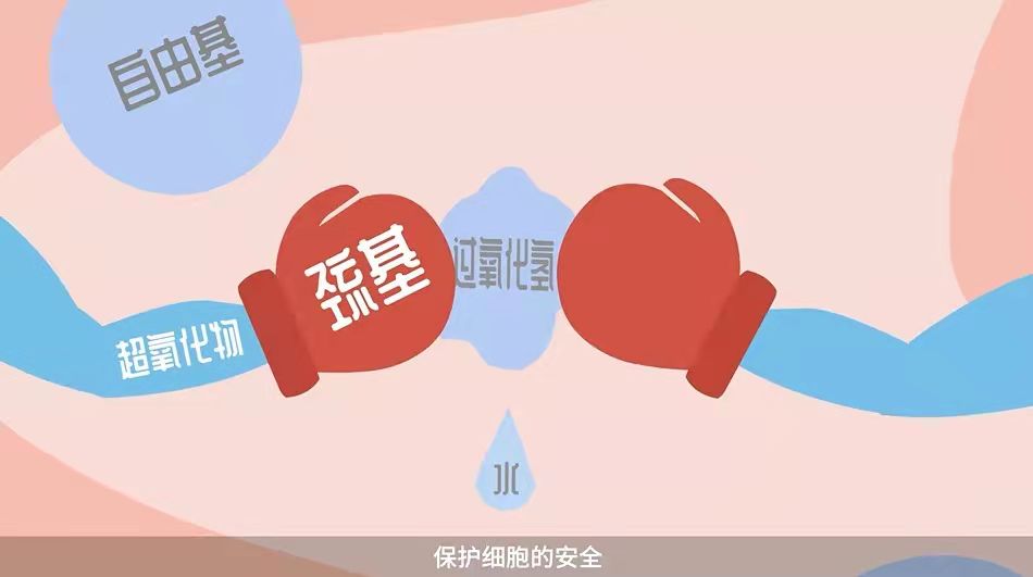 鼎博·(中国游)有限公司官网