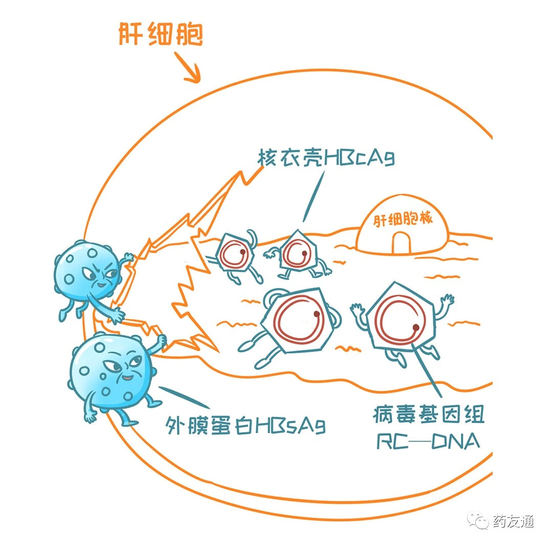 鼎博·(中国游)有限公司官网