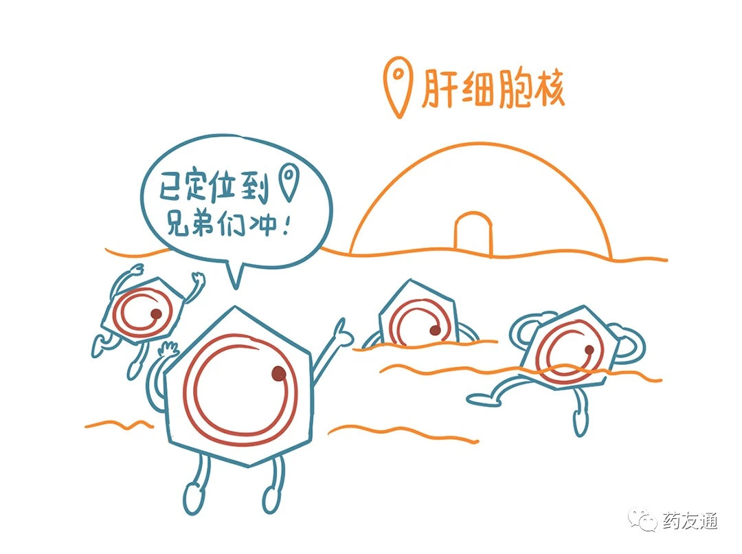 鼎博·(中国游)有限公司官网