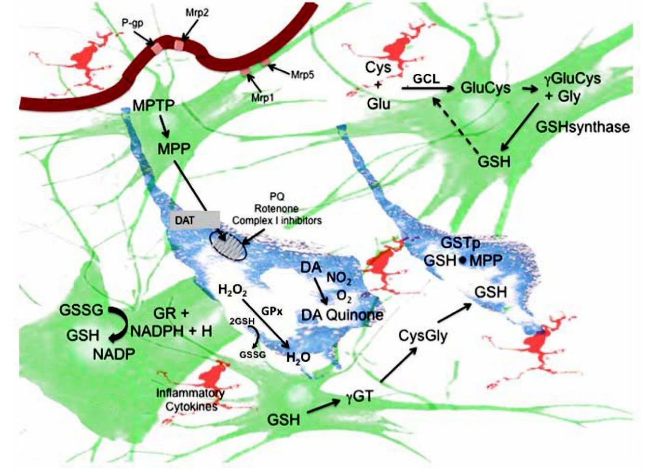 鼎博·(中国游)有限公司官网